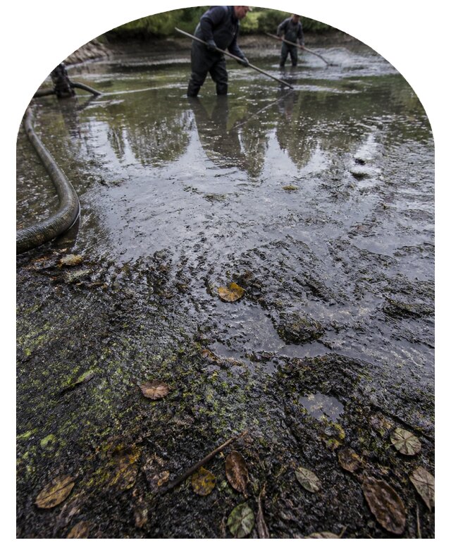 Очистка пруда в Троицке от ила мусора и водорослей с вывозом